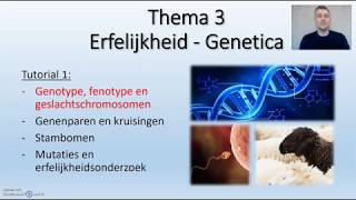 Genotype Fenotype  thema 3 Erfelijkheid Biodam  1 van 4 [upl. by Enovahs]