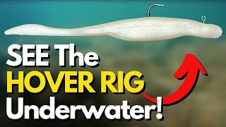 What Does the HOVER RIG Really Do Underwater See 3 Different Retrieves [upl. by Knighton54]