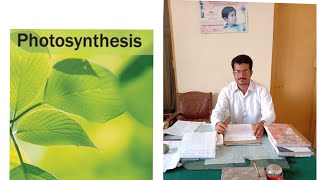 Photosynthesis in Plants in Hindi amp Urdu  Chapter Bioenergetics  Biology  Overview [upl. by Nivlac]