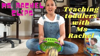 Ms Rachel Clips Teaching Toddlers Through Play And Song Toddler Toys For Learning [upl. by Ahsieat775]