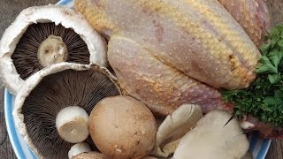 How To Cook A PheasantPot Roasted Pheasant [upl. by Starbuck404]