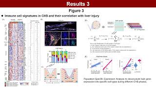 Liver transcriptomics to decipher the cause of intrahepatic inflammation in chronic hepatitis B [upl. by Benildas]