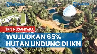 Wujudkan 65 Kawasan Hutan Lindung di IKN Nusantara [upl. by Armil]