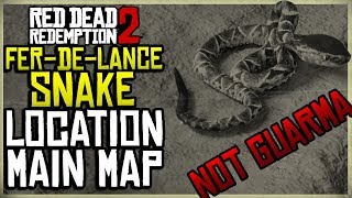 WHERE TO FIND THE FERDELANCE SNAKE ON THE MAIN MAP  DONT WAST YOUR TIME ON GUARMA  RED DEAD [upl. by Otes]