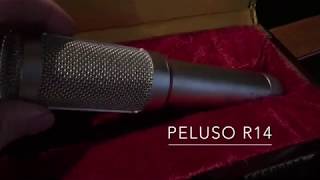 Demo of Peluso r14 Ribbon Microphone Jesse Ray Shelby [upl. by Assereht630]