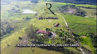 Fazenda em QUIPAPÁPE [upl. by Werra]