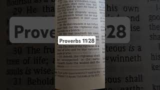 Proverbs 1128 proverbs truth wisdom [upl. by Samy]