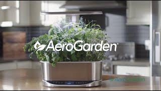 Learn to Grow Fresh Herbs Vegetables and Flowers with an AeroGarden Indoor Garden System 2 Minutes [upl. by Erlinna364]