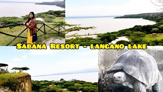 Big TortoisesSabana Beach Resort Mesmerizing Lake LanganoEthiopia Africa tortoise resort [upl. by Hyacinth449]