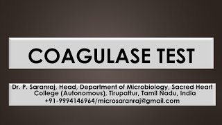 Coagulase Test [upl. by Mcneil]