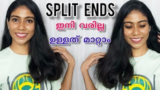 🌸How to get rid of split ends easily വന്നാൽ മുടി ഒരിക്കലും വളരില്ലേ🥺 Personal tips [upl. by Kendal828]