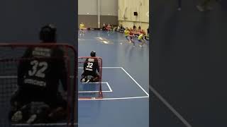 Insane solo floorball skills [upl. by Coletta263]