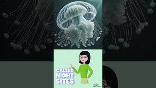 Fact about Jellyfish [upl. by Chapa]