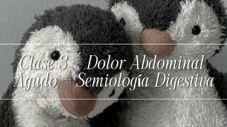 Clase 3  Dolor abdominal  Semiología Digestiva [upl. by Dolan]