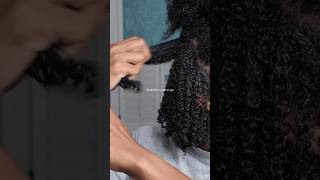 Another wash n go naturalhair type4hair washandgo [upl. by Whiting]