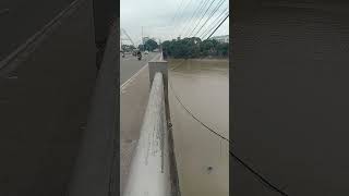 Floodway pasig bridge shorts goingtowork [upl. by Dohsar]