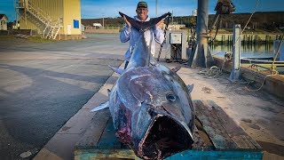 The most expensive part of a bluefin tuna is worth 10000 黑鮪魚最昂貴的部位 價值一萬美元 [upl. by Raoul332]