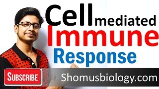 Cell mediated immunity  innate immune response [upl. by Nobel25]