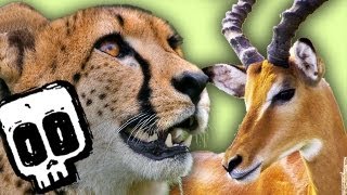 Cheetah vs Gazelle  Deadliest Showdown  Earth Unplugged [upl. by Oirtemed]