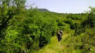 Le long des berges des chèvres  Itinéraires Paysans SisteronaisBuëch [upl. by Yatnoj]