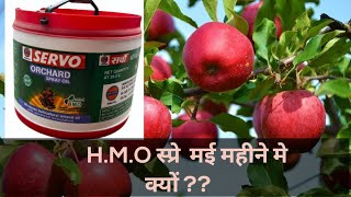 HMO के फायदे  HMO Spray In May Month  Dimple Panjta progressivebagwan5522 [upl. by Perni]