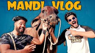 Karachi Cow Mandi Vlog 2022  Bakra Eid  Eid Ul Azha  Mishkat khan [upl. by Popper]