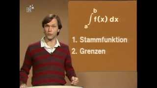 39 Das Integral  Telekolleg Mathematik [upl. by Sherye]