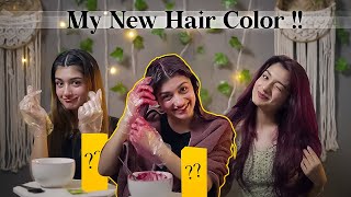 HOW TO EASILY COLOUR YOUR HAIR AT HOME  GARNIER COLOUR NATURALS  NO AMONIA  AMULYA RATTAN [upl. by Dragon561]