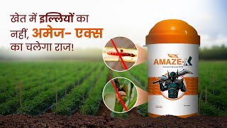 अब होगा तनाछेदक इल्लियों का सर्वनाश agrostar pesticides insecticide amaze x [upl. by Puff]