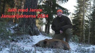 Jakt med Janne  Januarijakterna 2024 4K [upl. by Adnorhs]