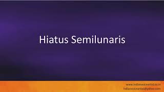 Pronunciation of the words quotHiatus Semilunarisquot [upl. by Wobniar]