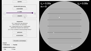 Leifi  SteigSinkMethode  Simulation [upl. by Trovillion]