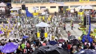 GRES Vitória Régia Desfile 2014 [upl. by Bakemeier494]