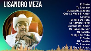 Lisandro Meza 2024 MIX Grandes Exitos  El Siete Te Llevare Guayabita Madura Que Se Vaya El Amor [upl. by Vera957]