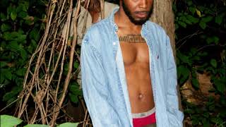 JPEGMAFIA  Lemmy [upl. by Nosnor]