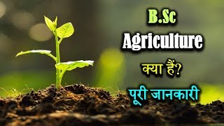 What is BSc Agriculture With Full Information – Hindi – Quick Support [upl. by Saint537]