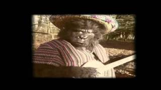 The Twang  Guapa Official Video [upl. by Garibald26]