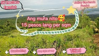 Available na ulit 🥰 15 pesos per sqm🥰 56 hectars farmlot 🥰 Overlooking 🥰 Titled [upl. by Dalury]