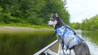 Solo Canoe Camping on the Saco River in NH and ME [upl. by Mohammad]