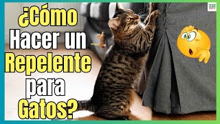 🔴 ¿COMO HACER UN REPELENTE NATURAL PARA GATOS 🔴 [upl. by Llednar]