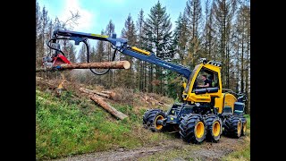 🌲 the NEW one • WFW Ecolog 688F • CabView • Harvester in Action • Forsttechnik Achenbach 🌲 [upl. by Millman]