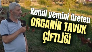 Kendi Yemini Üreten ORGANİK TAVUK ÇİFTLİĞİ  Kanatlı Alemi [upl. by Nairadal]