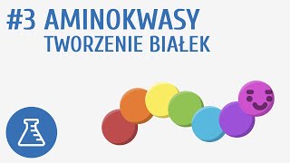 Aminokwasy tworzenie białek 3  Biologiczne związki organiczne [upl. by Eirolav338]