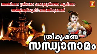 ശ്രീ കൃഷ്‌ണ സന്ധ്യാനാമം  Sandya Namagal Malayalam  Sree Krishna Devotional Songs Malayalam [upl. by Higginbotham621]