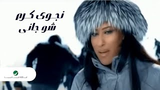 Najwa Karam Shou Jani نجوى كرم  شو جانى [upl. by Nivert527]