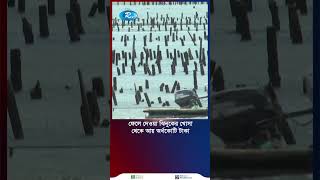 ঝিনুকের খোসা থেকে সোনা ফলিয়ে আয় অর্ধকোটি Oyster Shorts Rtvnews [upl. by Mohl966]