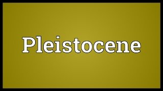 Pleistocene Meaning [upl. by Neehahs]