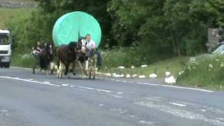 Appleby Horse Fair  Kirky Bank Part 2 [upl. by Silvers875]