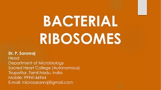 Bacterial Ribosomes bacteria ribosomes polysomes polyribosomes csirnet asrbnet arsnet neet [upl. by Petuu]