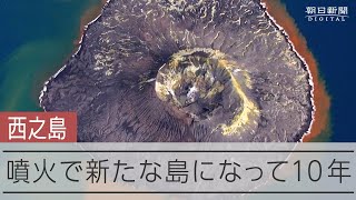 西之島、新島誕生から10年 拡大する島、リセットされた生態系は今 上空から島を見る [upl. by Eniamzaj]